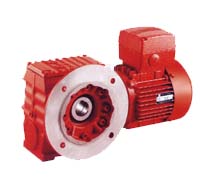 ����鿴��