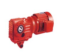 ����鿴��